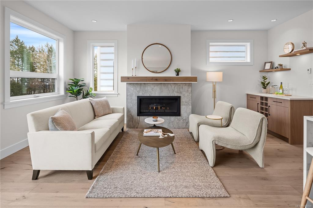Living room fireplace