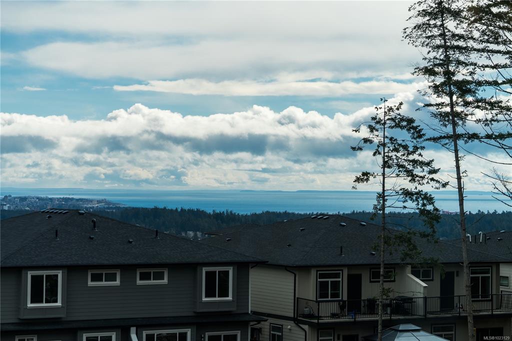 Bear Mountain view